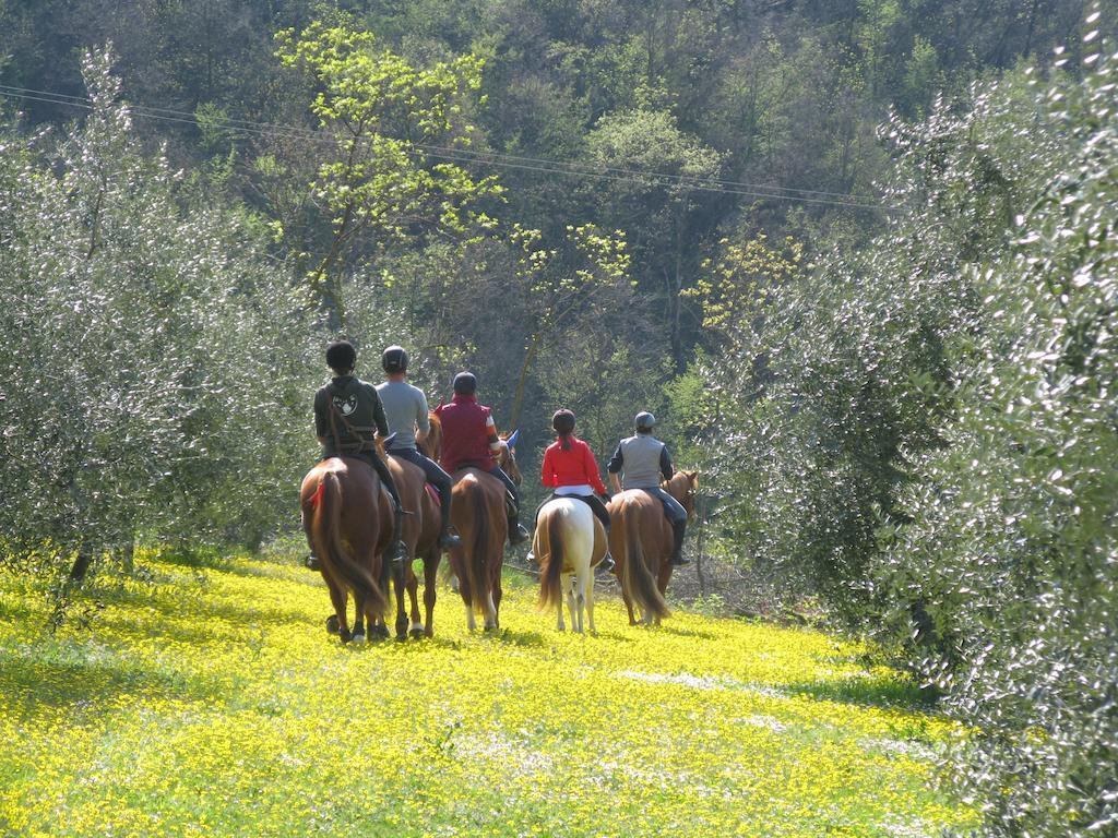 Paglia E Fieno Bed & Breakfast Villaga Exterior photo