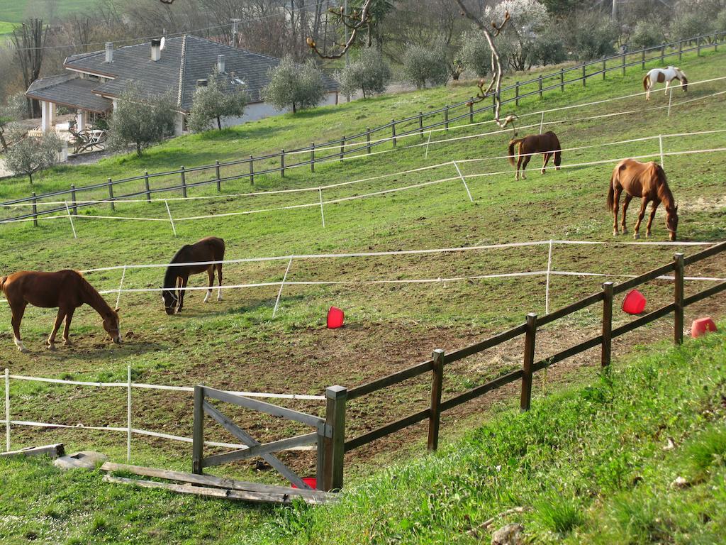 Paglia E Fieno Bed & Breakfast Villaga Exterior photo