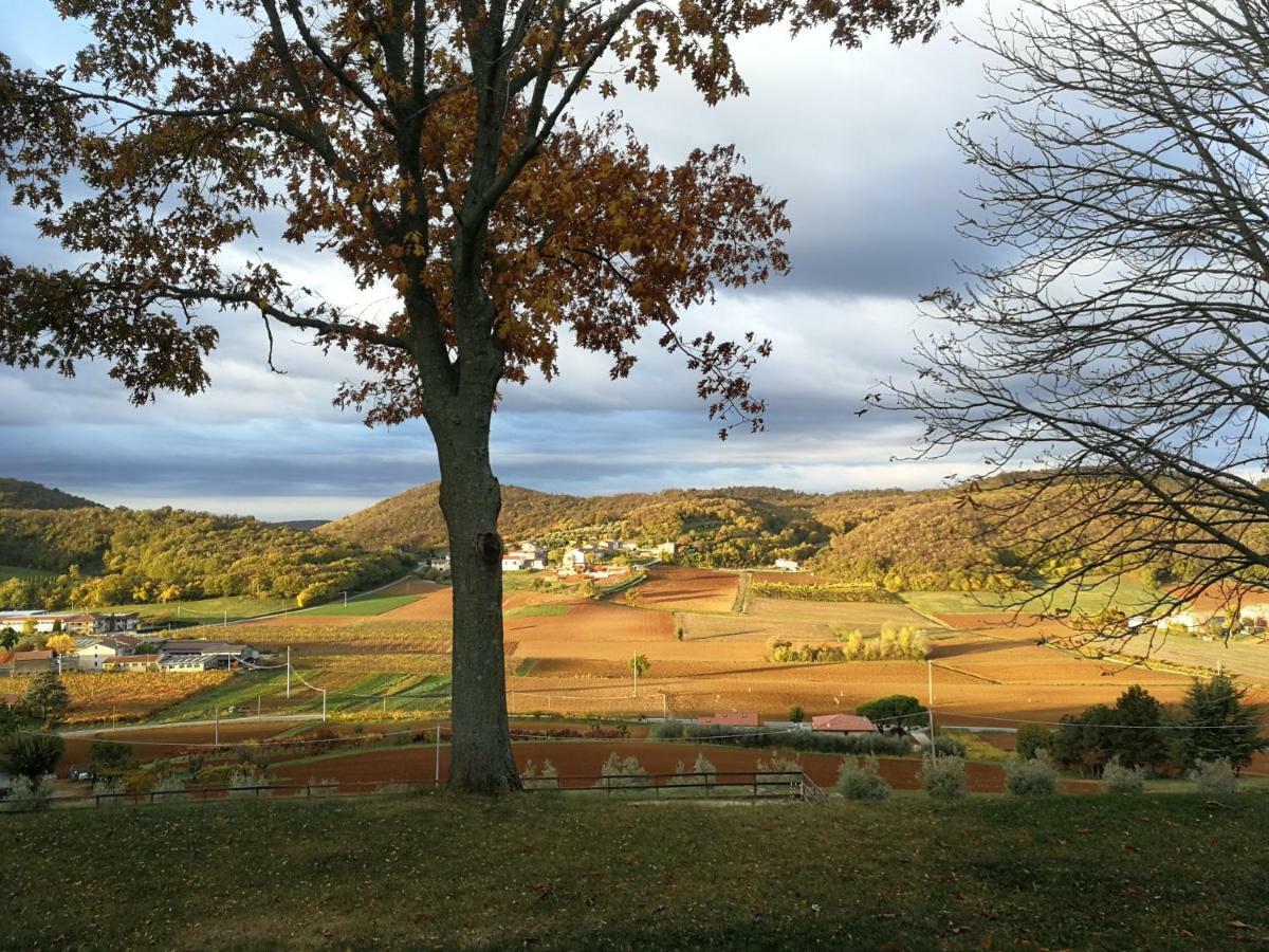 Paglia E Fieno Bed & Breakfast Villaga Exterior photo